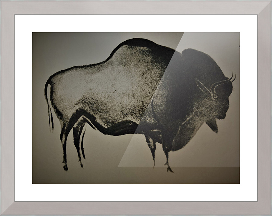 557 Picture Frame print