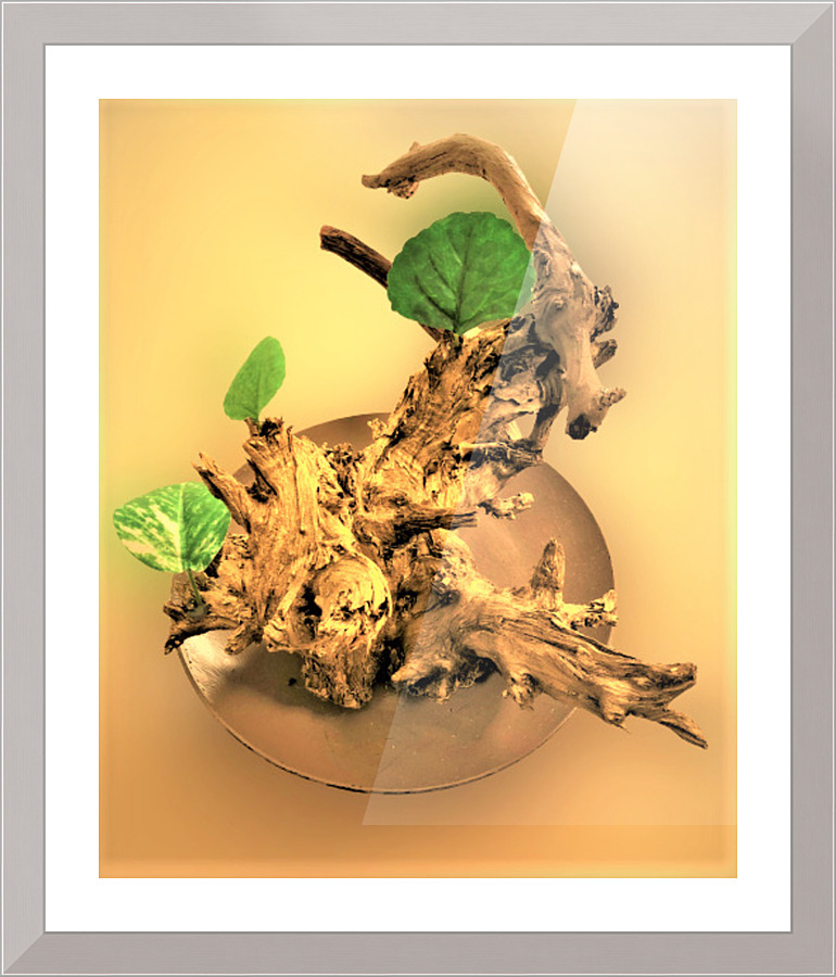 563 Picture Frame print