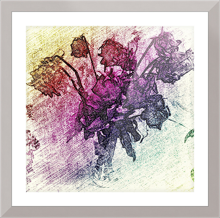 602 Picture Frame print