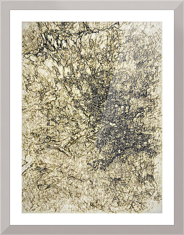 610 Picture Frame print