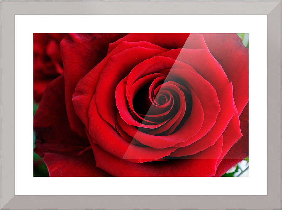 661 Picture Frame print