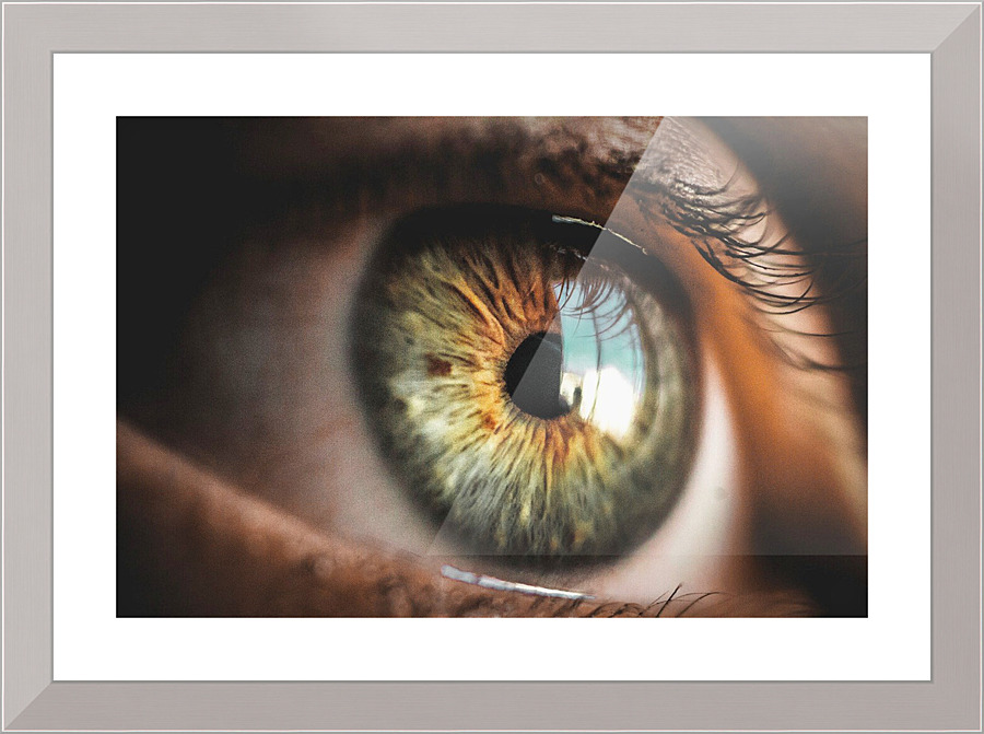 664 Picture Frame print