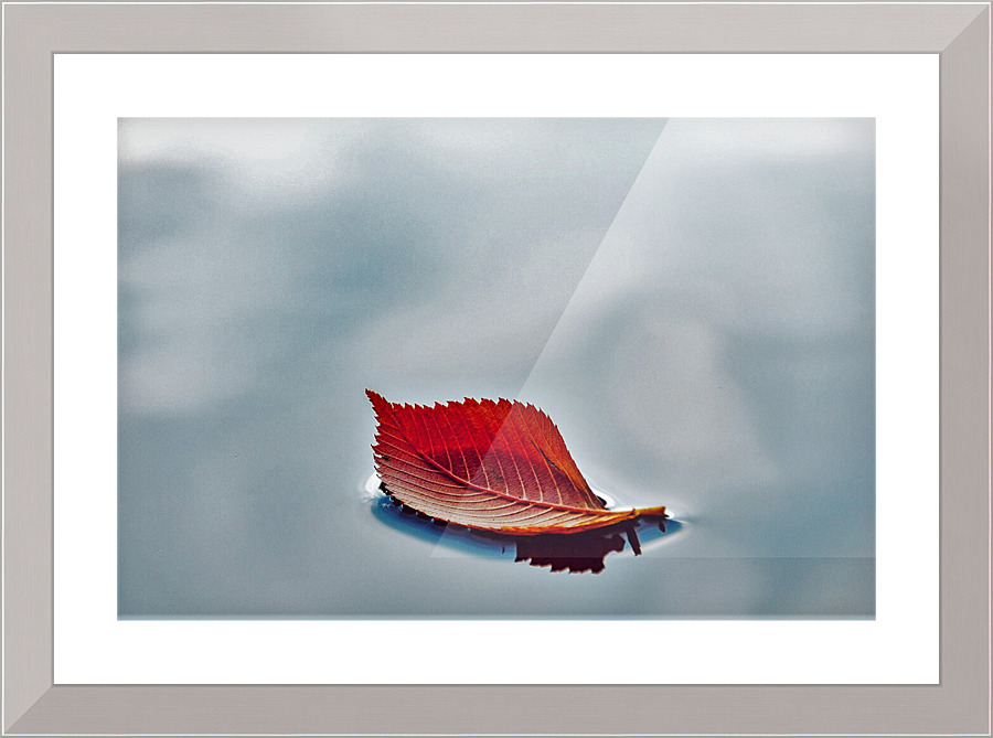 667 Picture Frame print