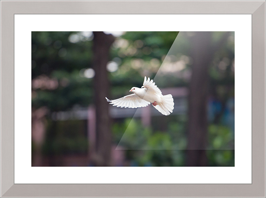 668 Picture Frame print