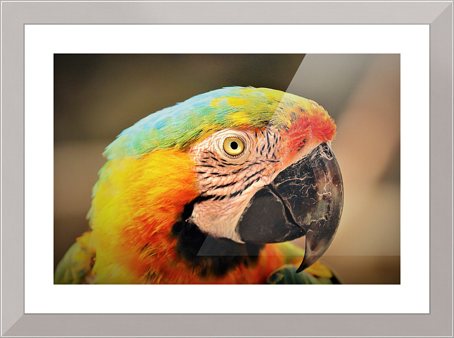 678 Picture Frame print