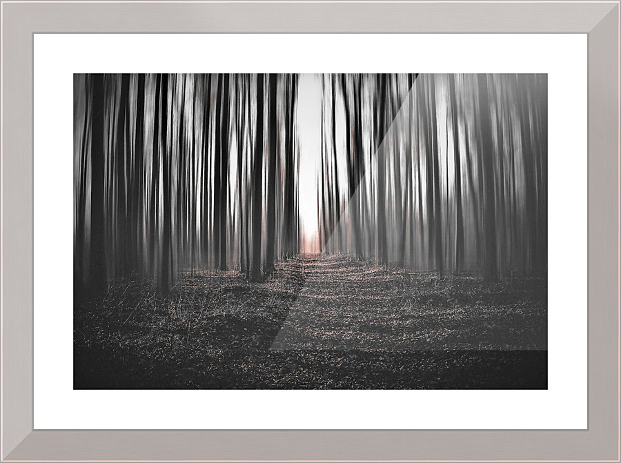 681 Picture Frame print