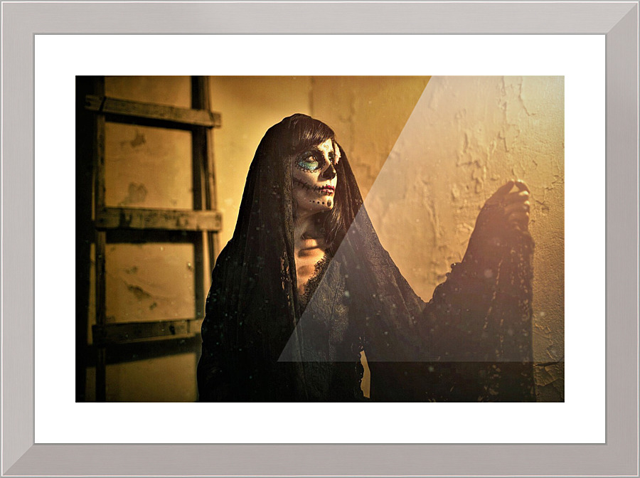 694 Picture Frame print