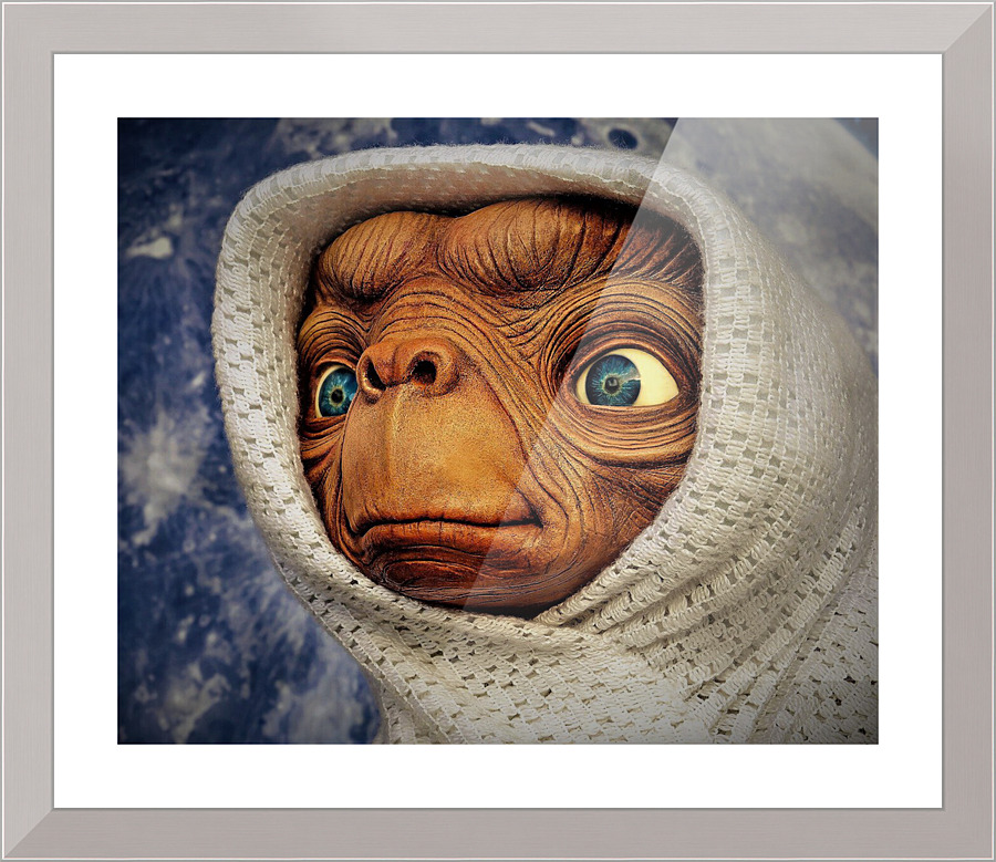 705 Picture Frame print
