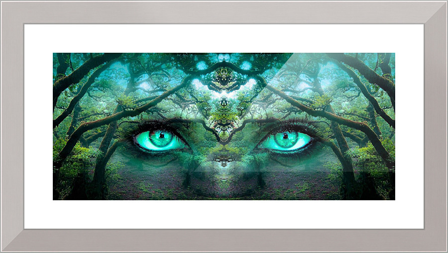 710 Picture Frame print