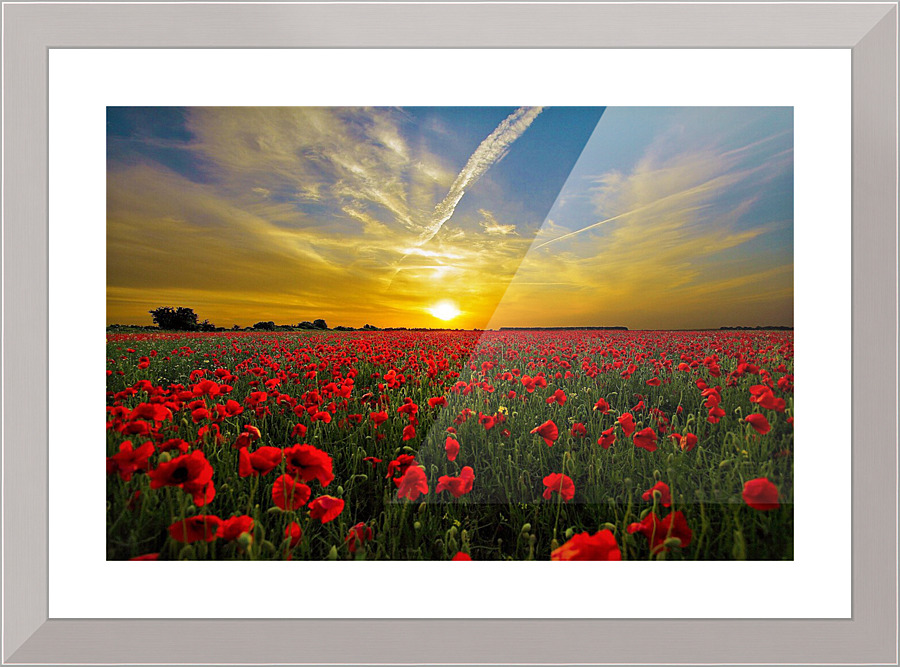 734 Picture Frame print
