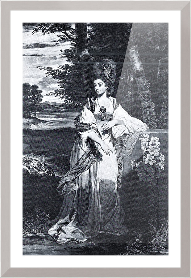736 Picture Frame print