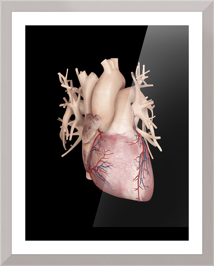 769 Picture Frame print
