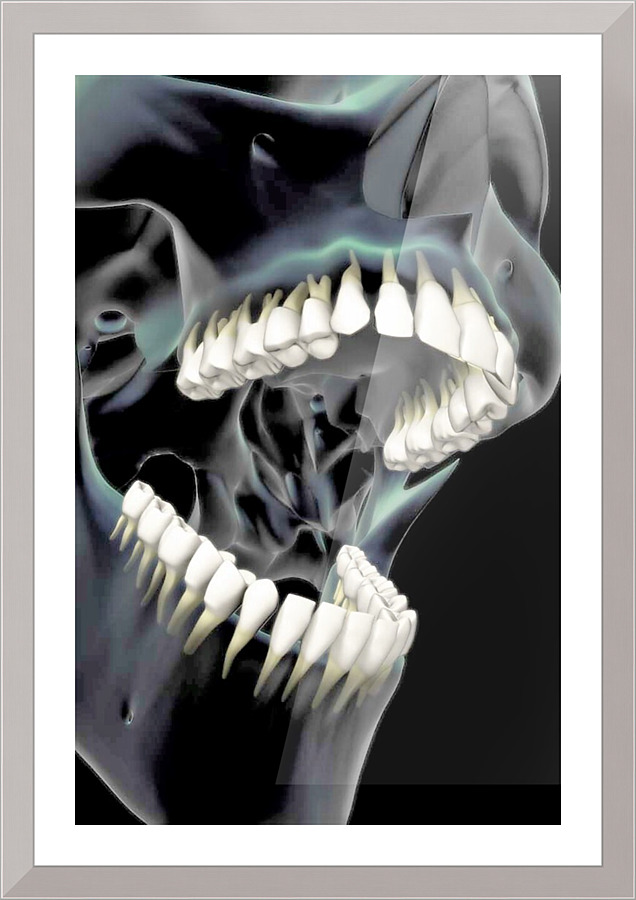 782 Picture Frame print