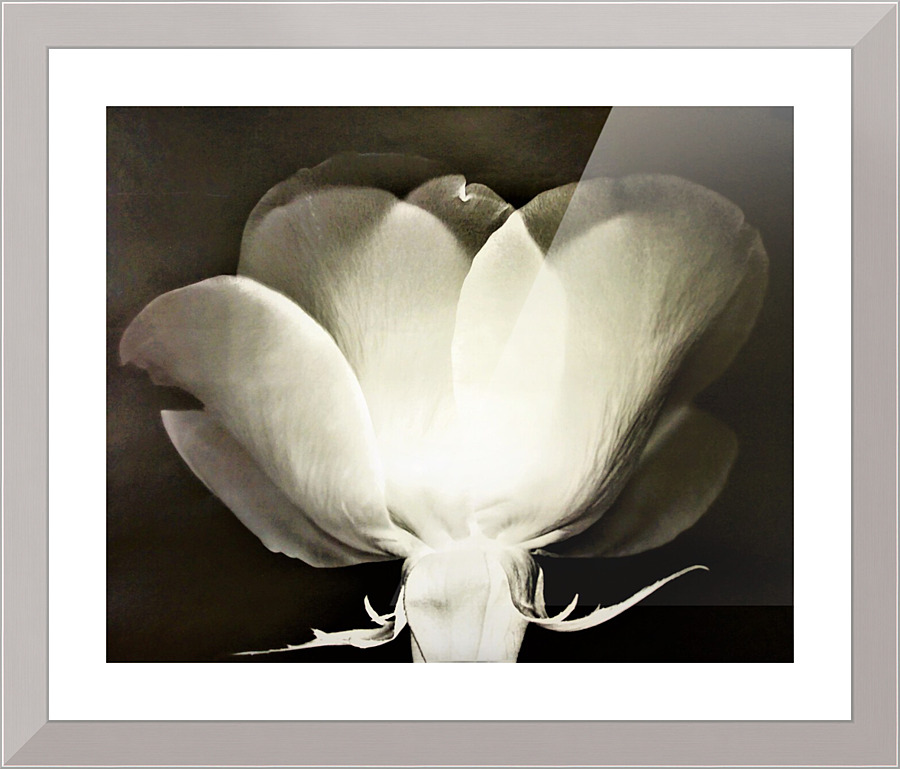 801 Picture Frame print