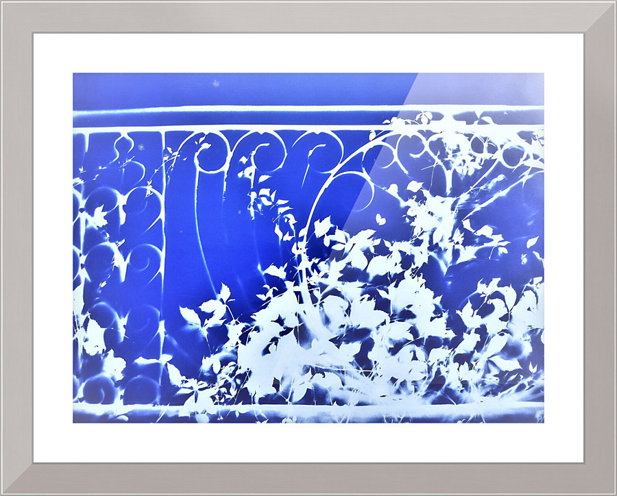807 Picture Frame print