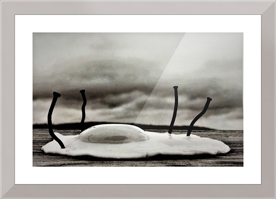 837 Picture Frame print