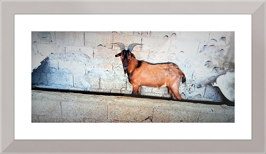 929 Picture Frame print