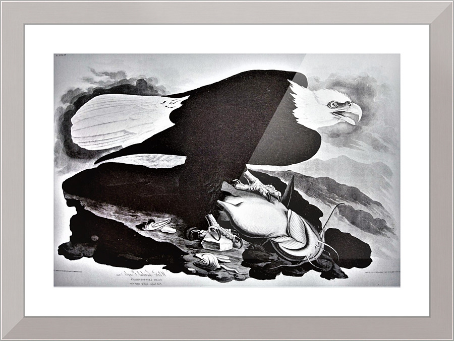 952 Picture Frame print