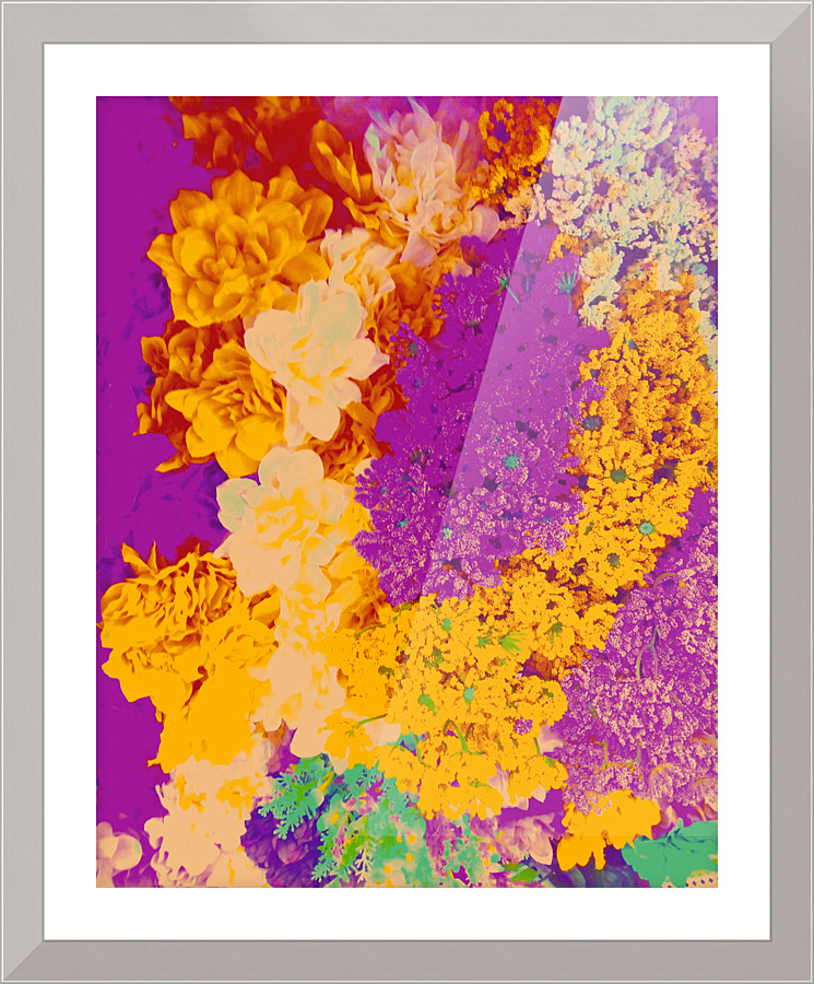 956 Picture Frame print
