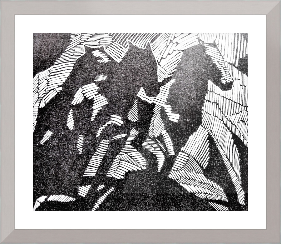 972 Picture Frame print