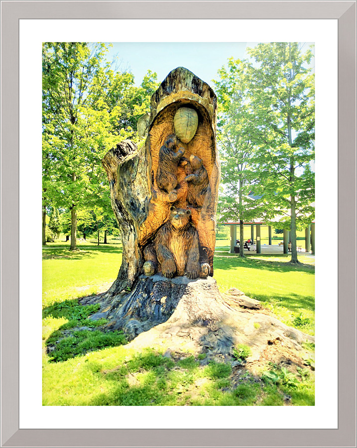 977 Picture Frame print