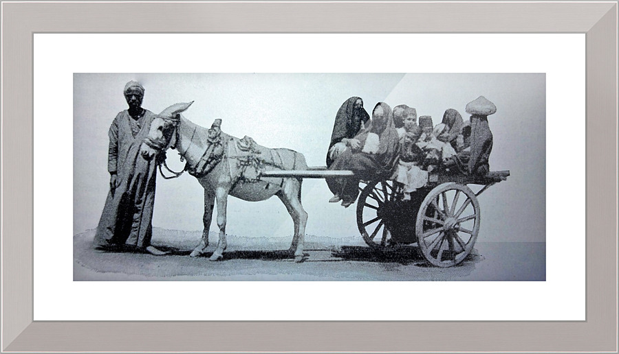 982 Picture Frame print