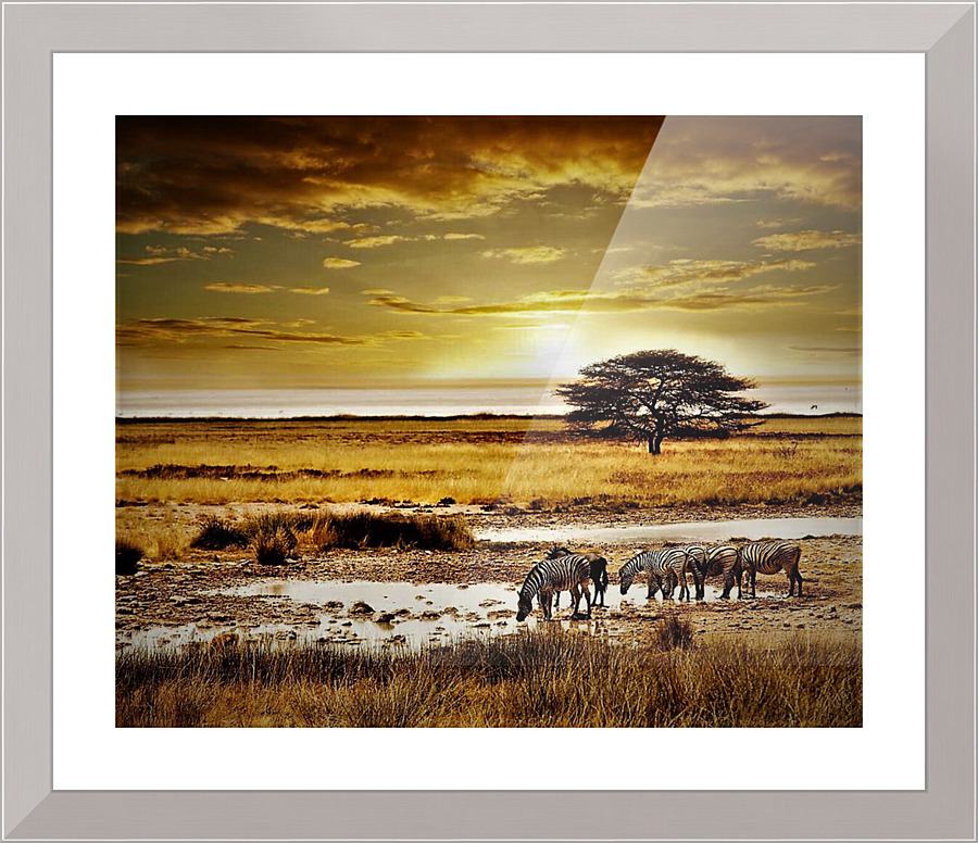 1021 Picture Frame print