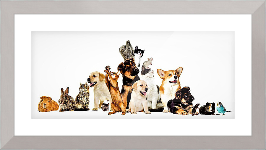 1029 Picture Frame print