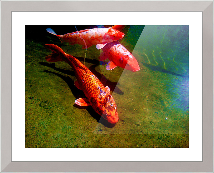1062 Picture Frame print