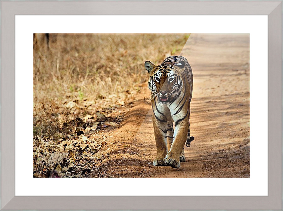 1131 Picture Frame print