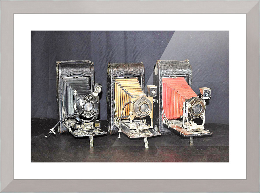 1153 Picture Frame print