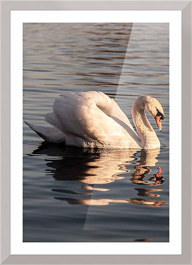 1167 Picture Frame print