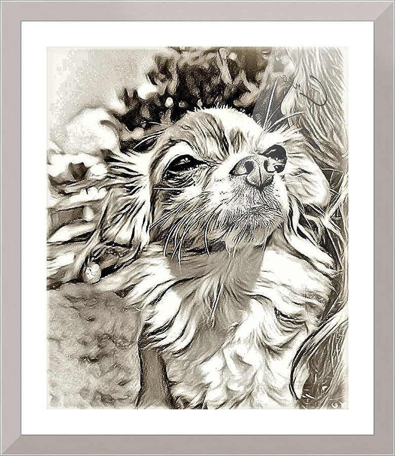 1172 Picture Frame print