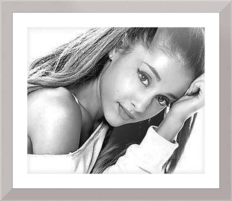 1196 Picture Frame print