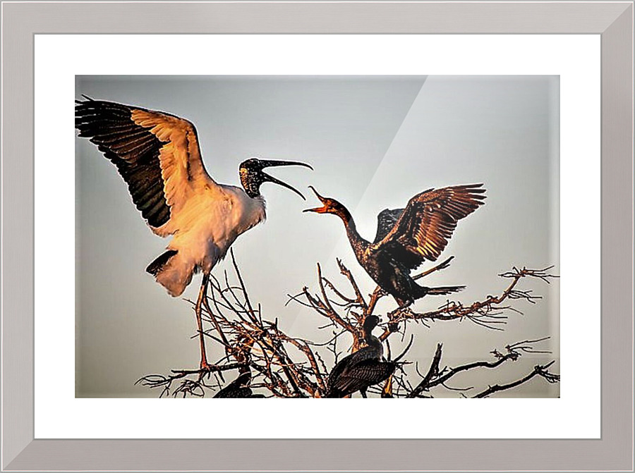1204 Picture Frame print