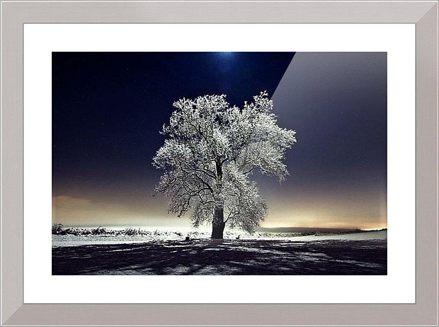 1205 Picture Frame print