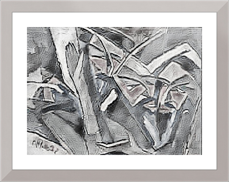 1244 Picture Frame print