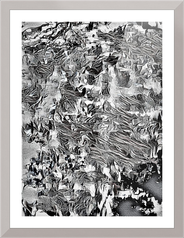 1251 Picture Frame print