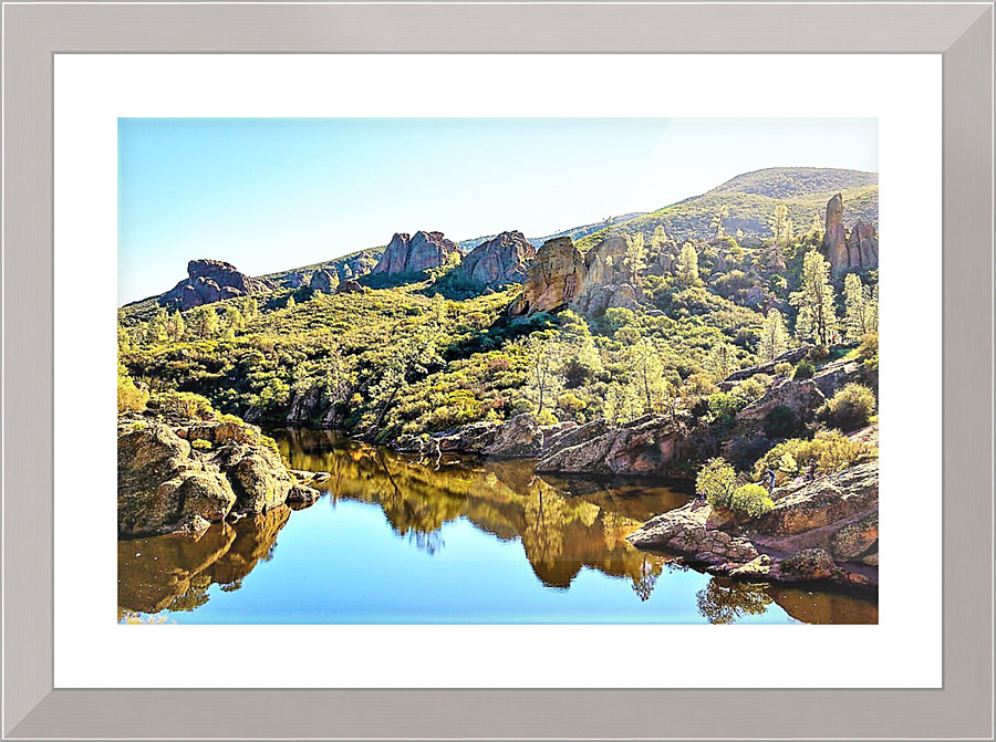 1257 Picture Frame print