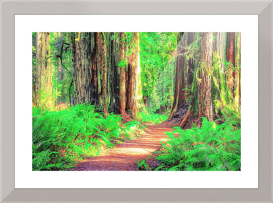 1259 Picture Frame print