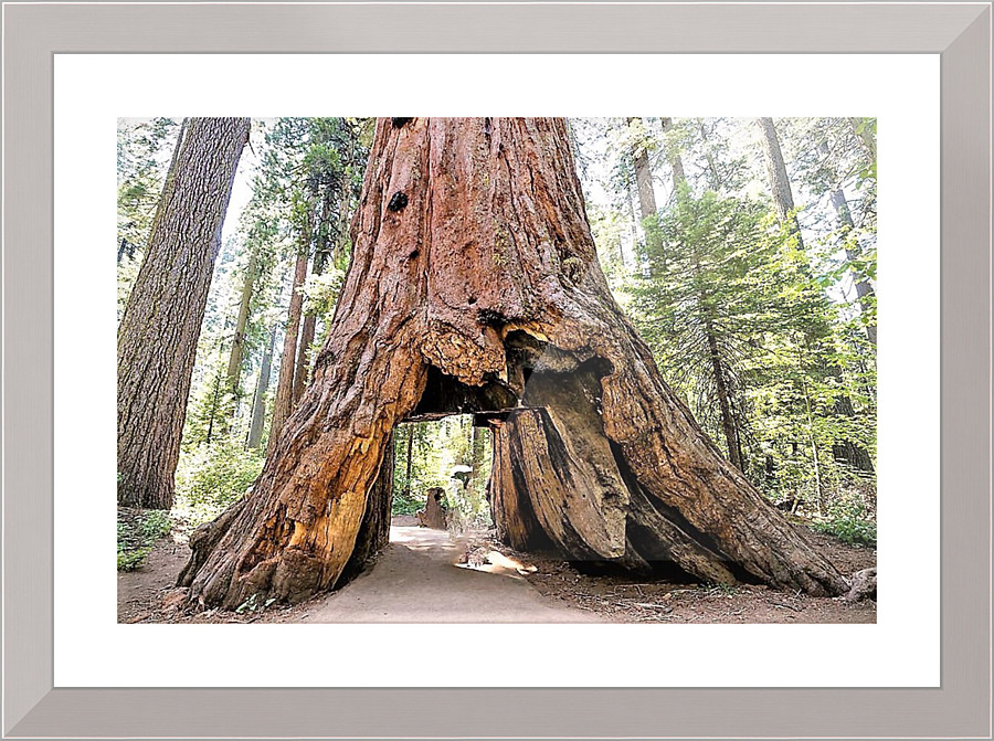 1267 Picture Frame print