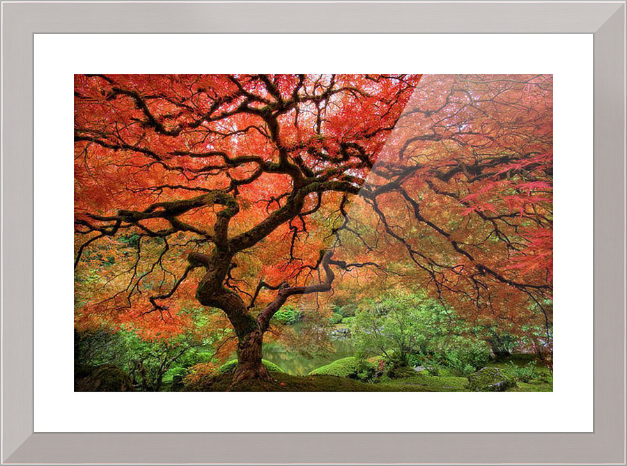 1327 Picture Frame print
