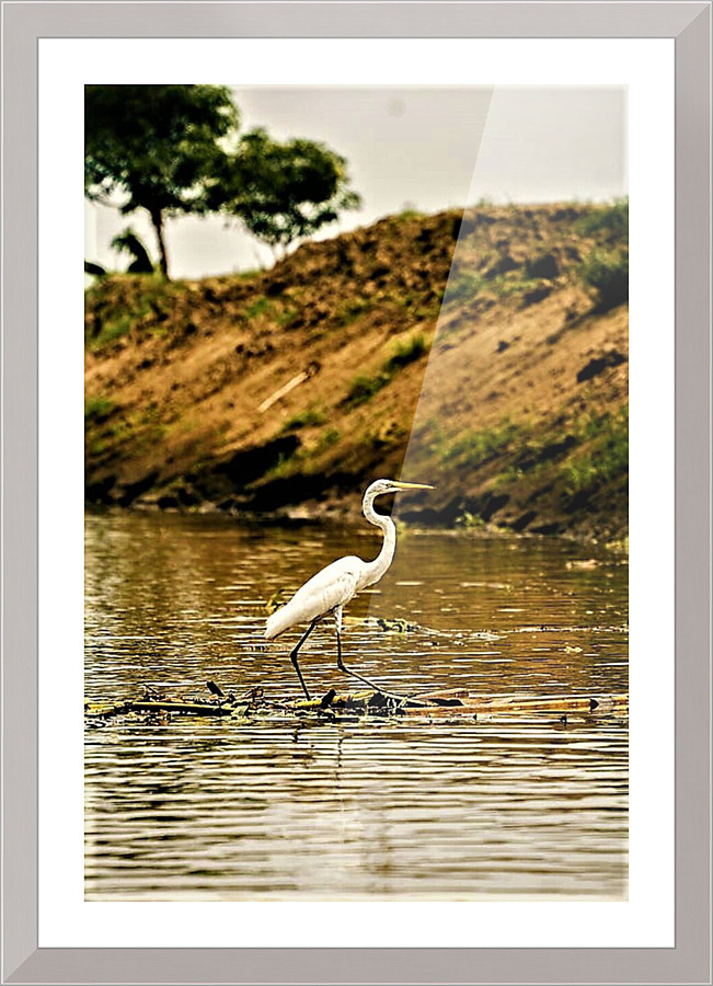1395 Picture Frame print