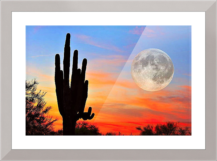 1405 Picture Frame print