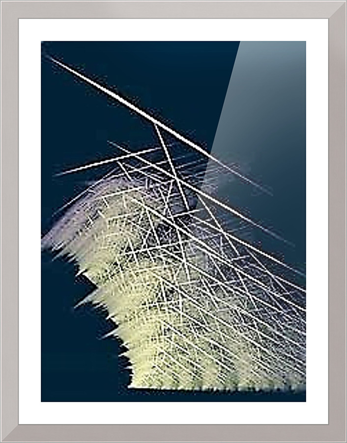 1431 Picture Frame print