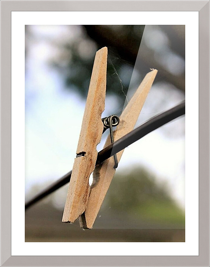 1456 Picture Frame print