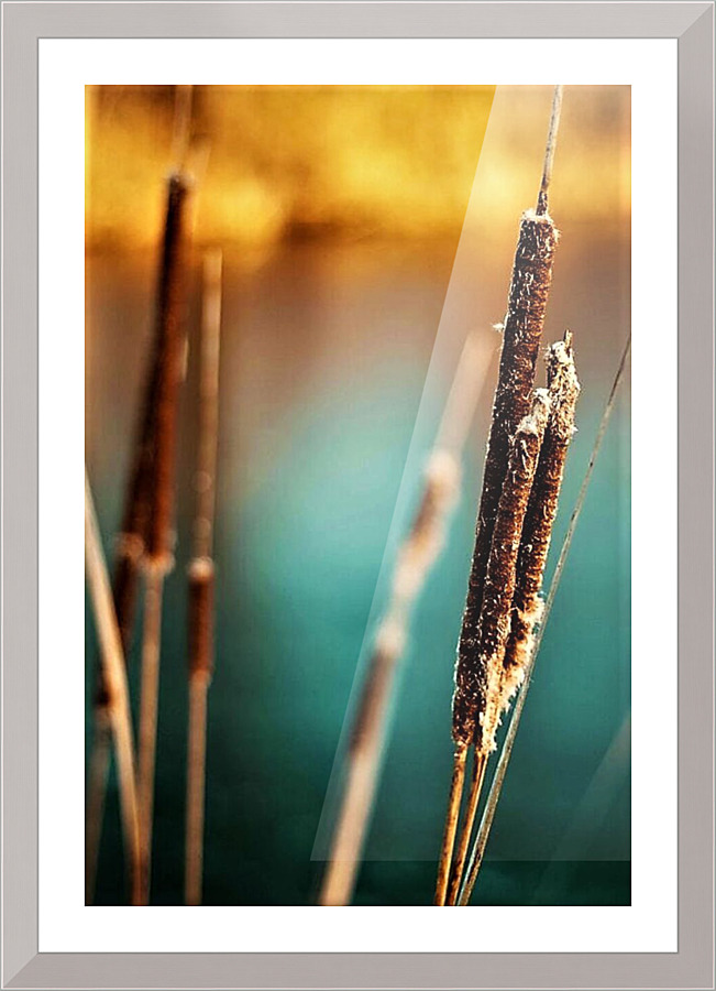 1471 Picture Frame print