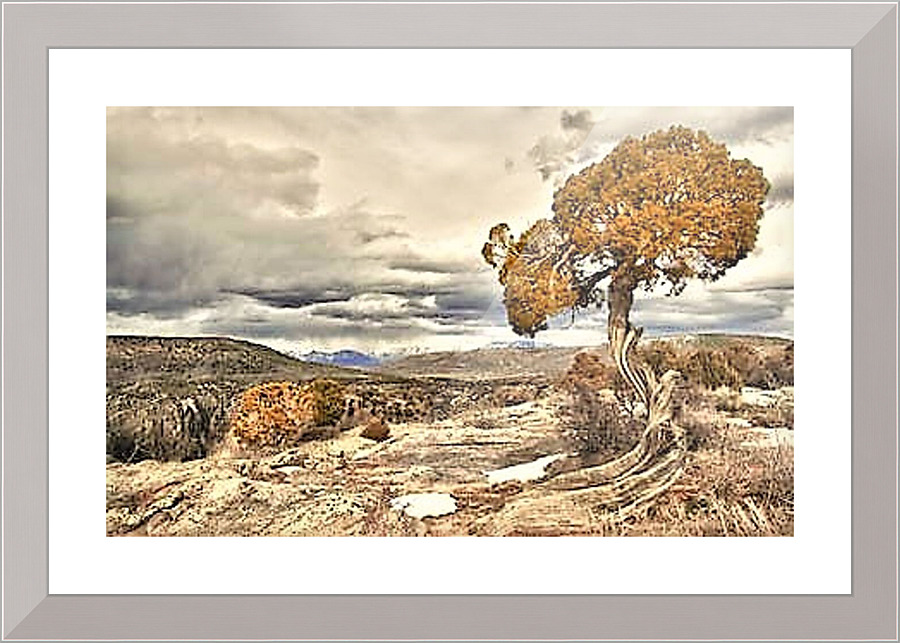 1476 Picture Frame print