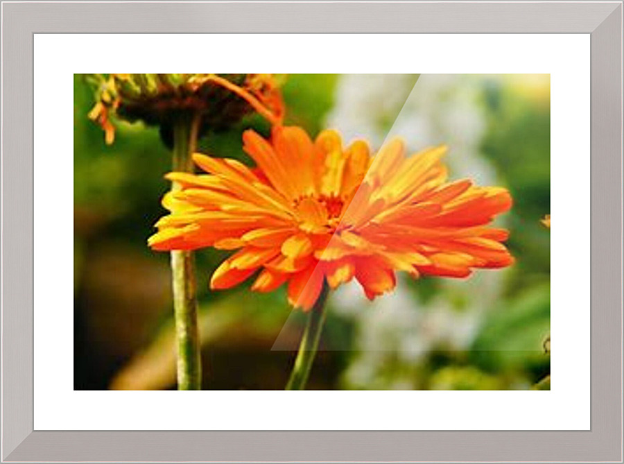 1477 Picture Frame print