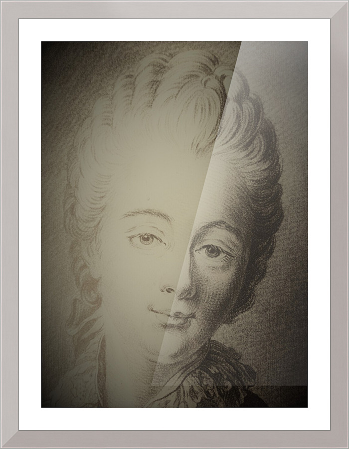 1496 Picture Frame print
